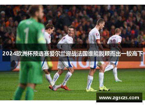 2024欧洲杯预选赛爱尔兰迎战法国谁能脱颖而出一较高下