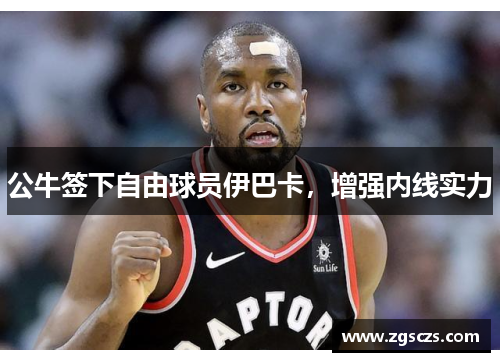 公牛签下自由球员伊巴卡，增强内线实力